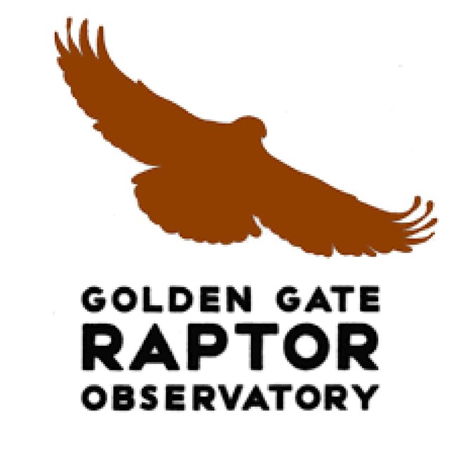 bird raptor observatory logo