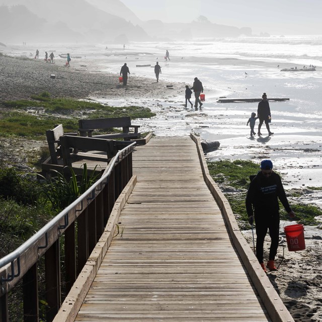 Stinson Beach during a morning beach clean-up