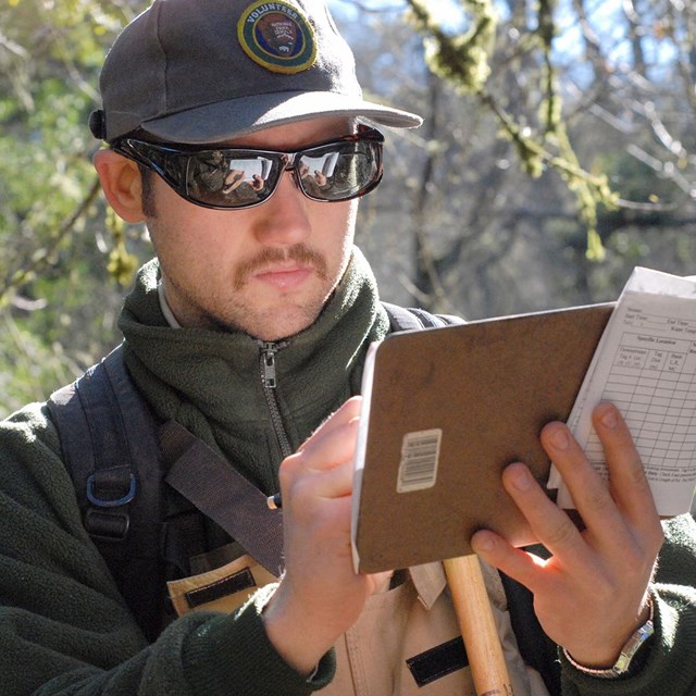 Photo of researcher taking a measurement during a coho salmon spawner surveys on Redwood Creek