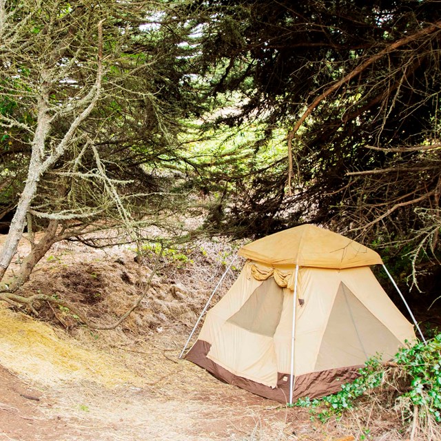 Tent located on the Bicentennial Campground 