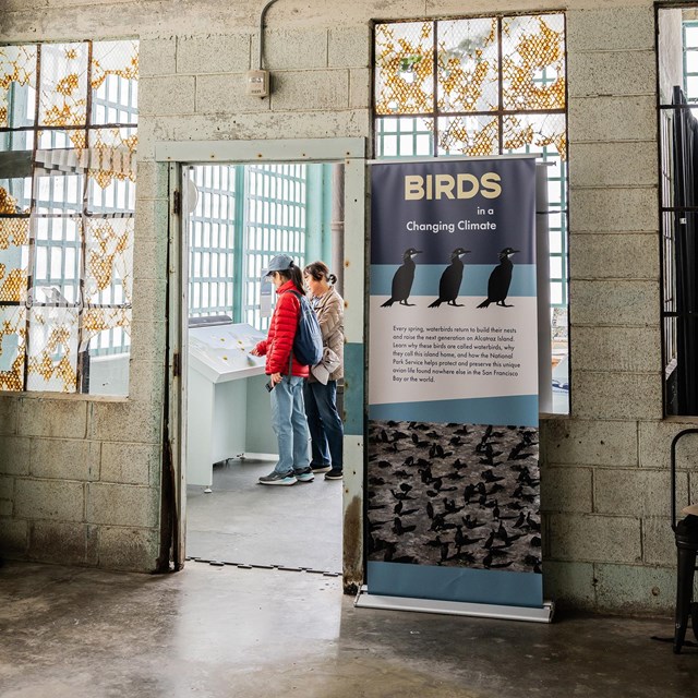 alcatraz