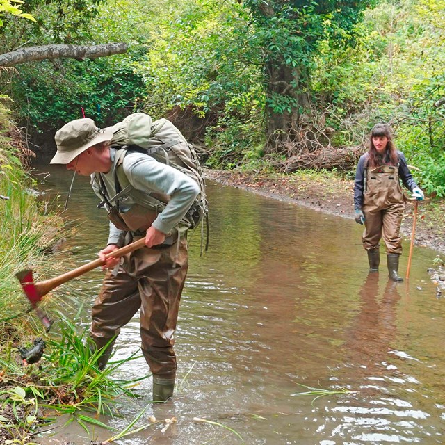 Person with axe and wearing waders working in Redwood Creek