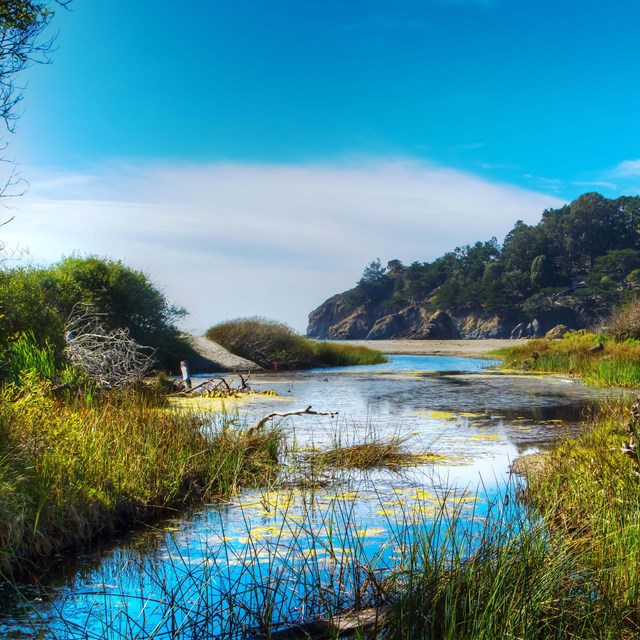 Redwood Creek Watershed Restoration