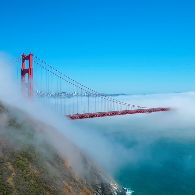 The Golden Gate Bridge extends in a foggy bank from the green hills of Hawk Hill.