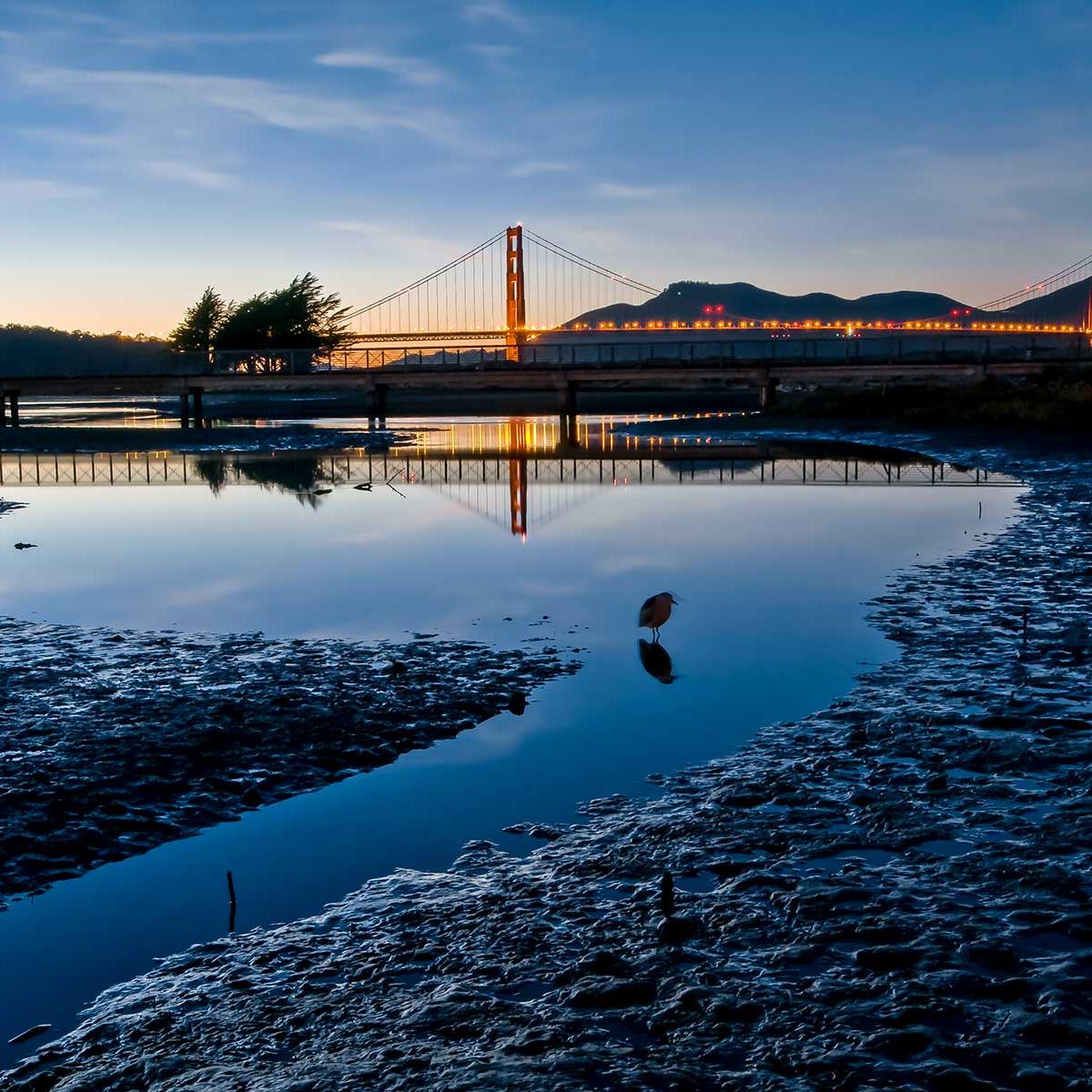 sunset at golden gate bridge with crissy marsh