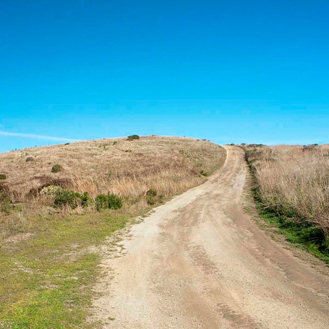 dirt road coarse up grassy hill