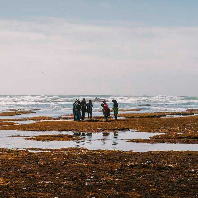 people stand in huddle at beach shore line