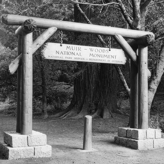 The Entrance to Muir Woods 