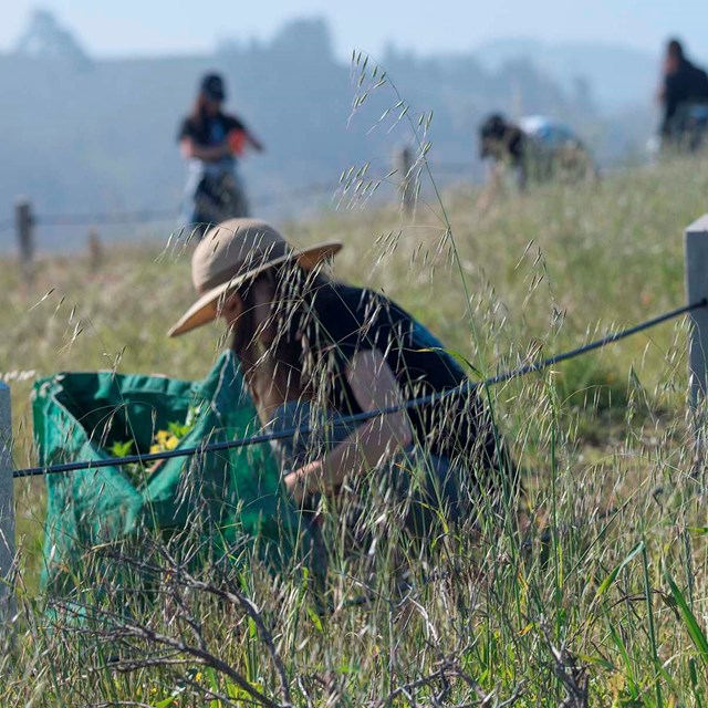 women bendt down in grassy hill with others in background