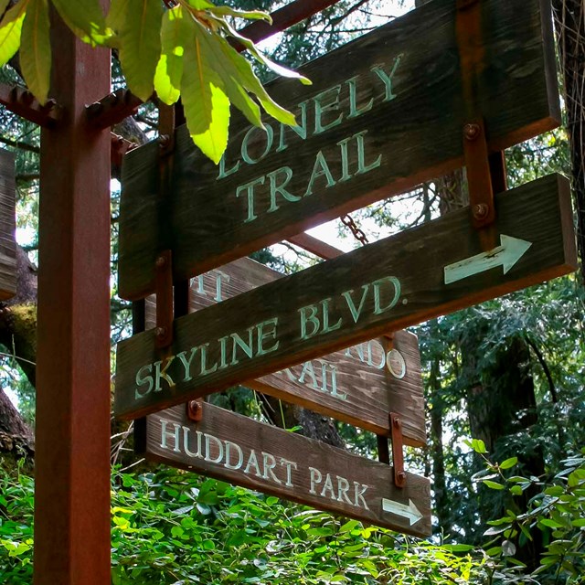 trail sign pointing to different trail directions