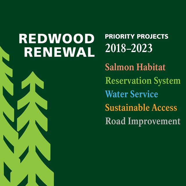 Redwood Renewal graphic featuring redwood tree silhouettes