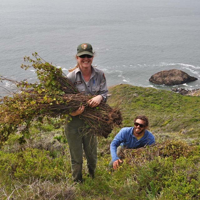 Photo NPS Staff during an invasive species removal effort.