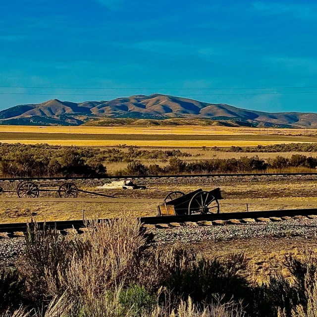 Protecting Resources