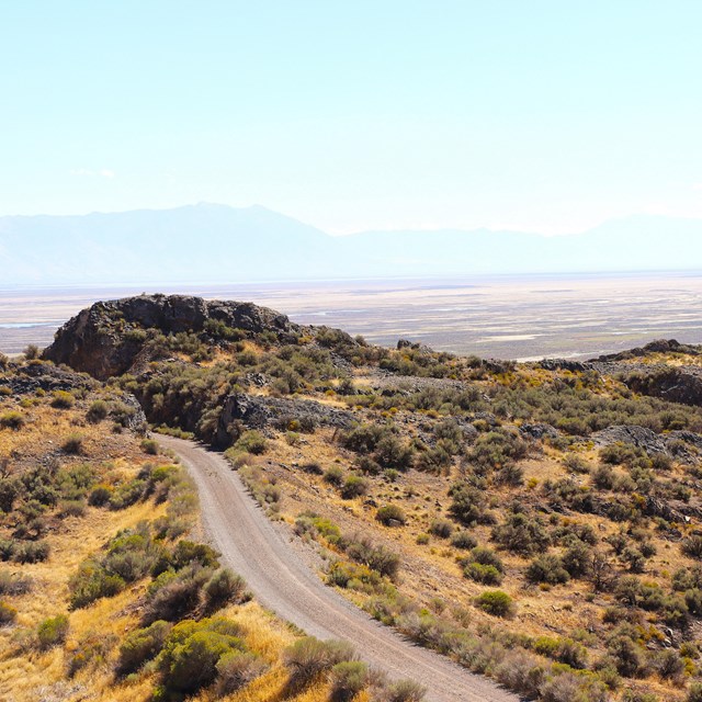 Elevation & Climate