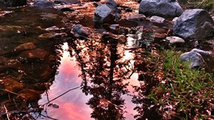 Pink sunset reflection in pool of stream