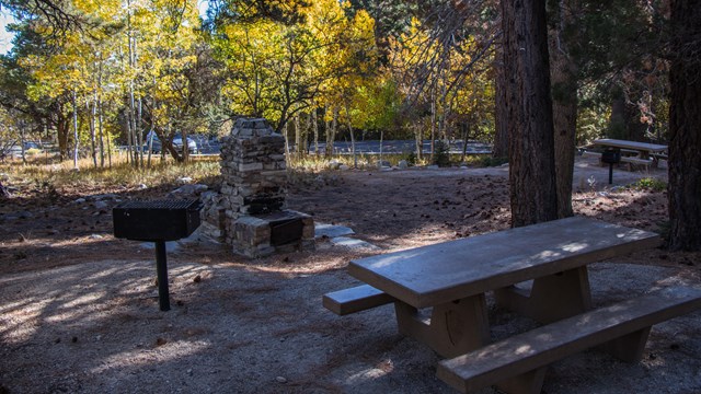 Picnic area at Upper Lehman Campground