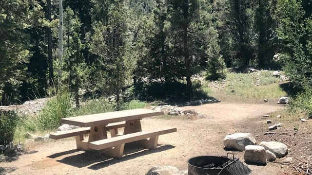 Campsite in Baker Creek Campground