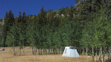 Tent set up in meadow