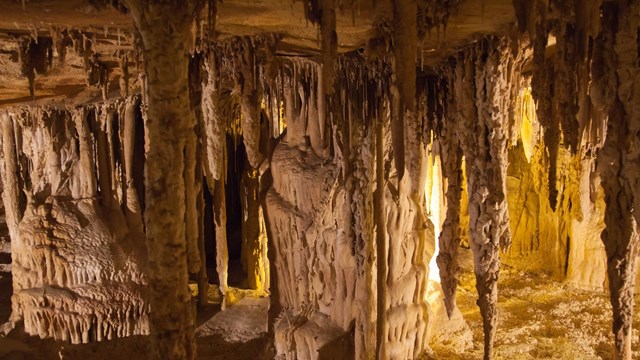 Stalactites, stalagmites and other formations in yellow light. Photo credit: Kee Ylp (flickr)