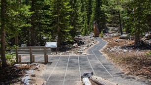 Trailhead of accessible trail with tall green trees
