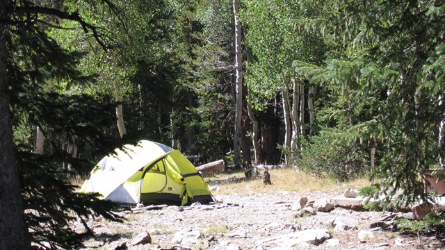 Tent setup in wheeler peak campground
