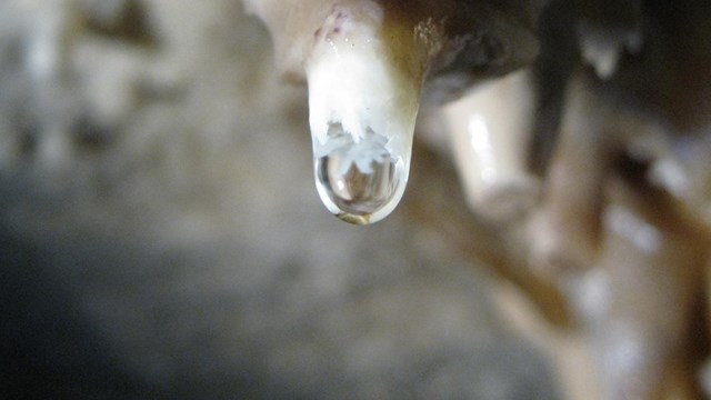 A small droplet of water hangs from the end of a delicate soda straw made of calcite in the cave.