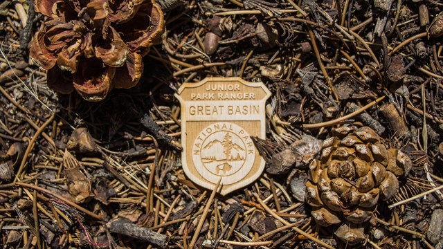 Great Basin Junior Ranger badge.