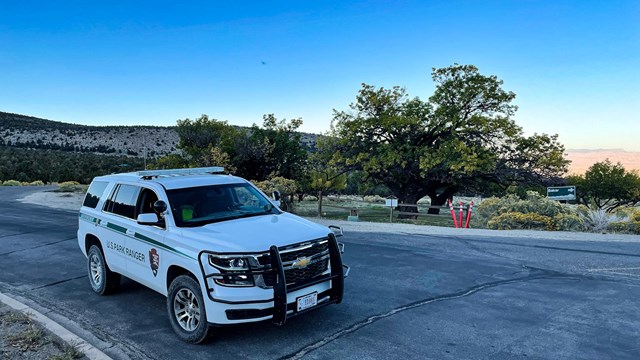 White ranger patrol car parked in front of historic orchard.