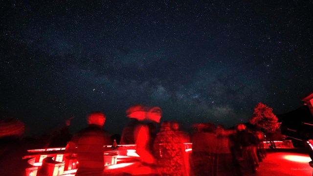 Visitors lined up to look through telescopes with red light.