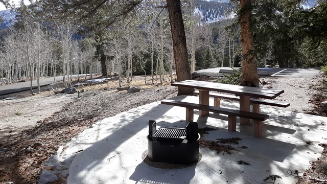 Campsite 21 at Wheeler Peak Campground with picnic table and campfire ring. Mountains in distance.