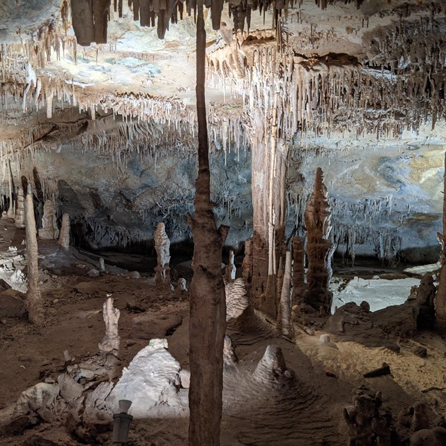 Stunning cave formations in varied light to dark colors on floor and ceiling of Lehman Cave.