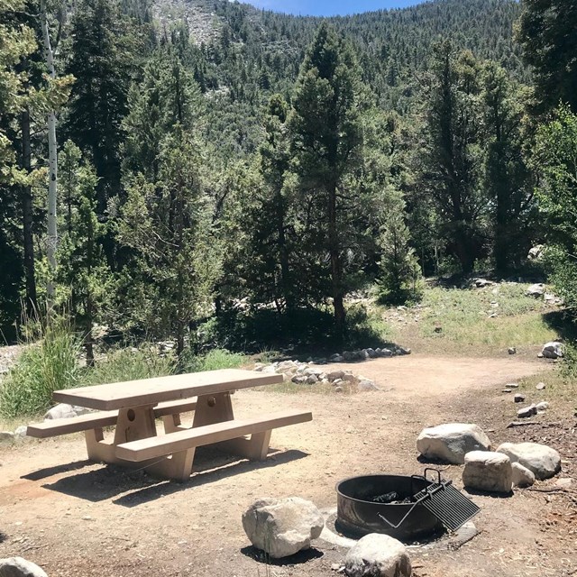 Campsite in Baker Creek Campground