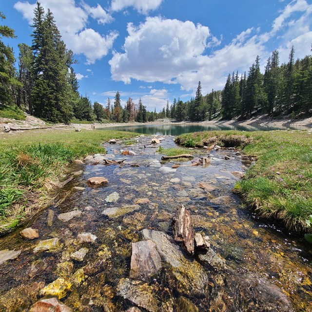 A flowing stream filled with rocks joined by green, grass covered banks leads into Teresa Lake.