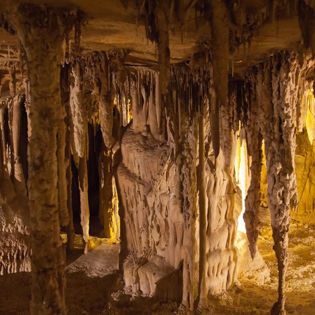 Stalactites, stalagmites and other formations in yellow light. Photo credit: Kee Ylp (flickr)