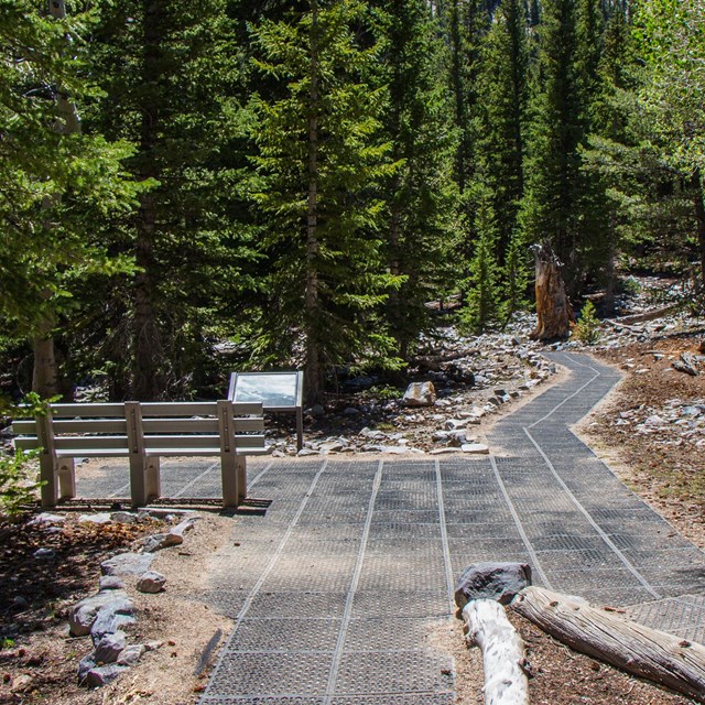 Trailhead of accessible trail with tall green trees