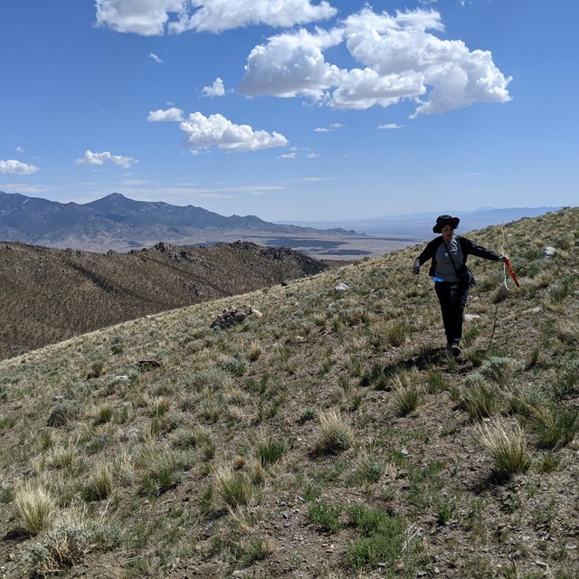 Woman measures out a transect in a sparsely vegetation hillside.