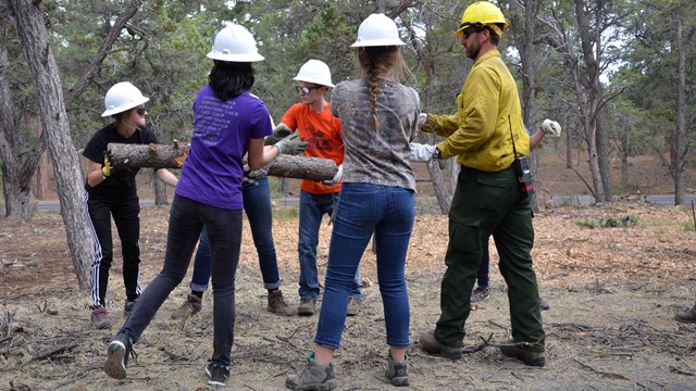 Students volunteering with the fire management team to help move a large branch.