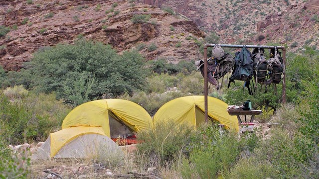 2 yellow dome tents in a backcountry campsite within canyon walls. 4 backpacks hang from a pole.