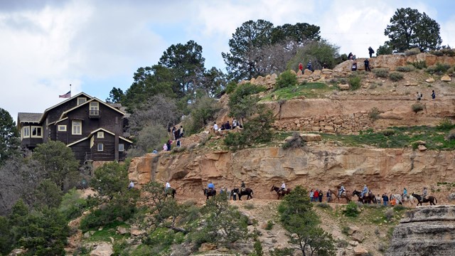 A mule train coming up the Bright Angel Trail.