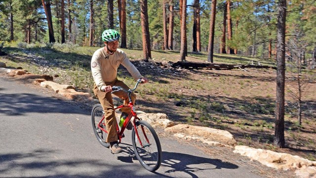 a person riding a bicycle on a paved greenway path through a forested area.