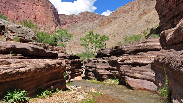 A view of Deer Creek during a rafting trip stop on the Colorado River.