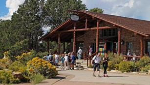 Front entrance to Bright Angel Lodge. Visitors standing in front; shrubbery has yellow fall flowers.