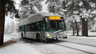 a line of people are waiting in line to board a white and green park bus