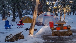 Two tents, one white and one yellow in a campsite under tall pine trees.