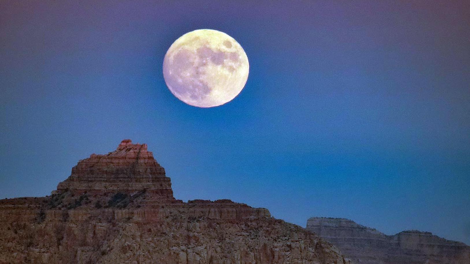 Grand Canyon view — layered rock and expansive canyon vista
