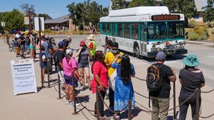 People standing in line waiting to board a park shuttle bus arriving at the stop.