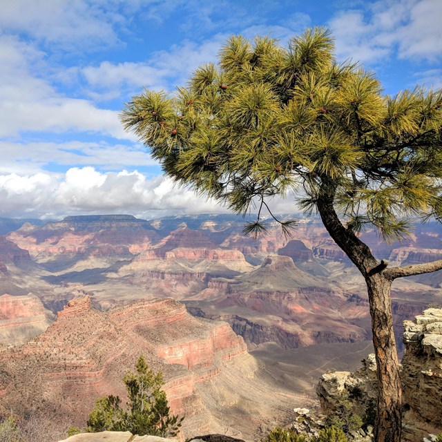 Grand Canyon · National Parks Conservation Association