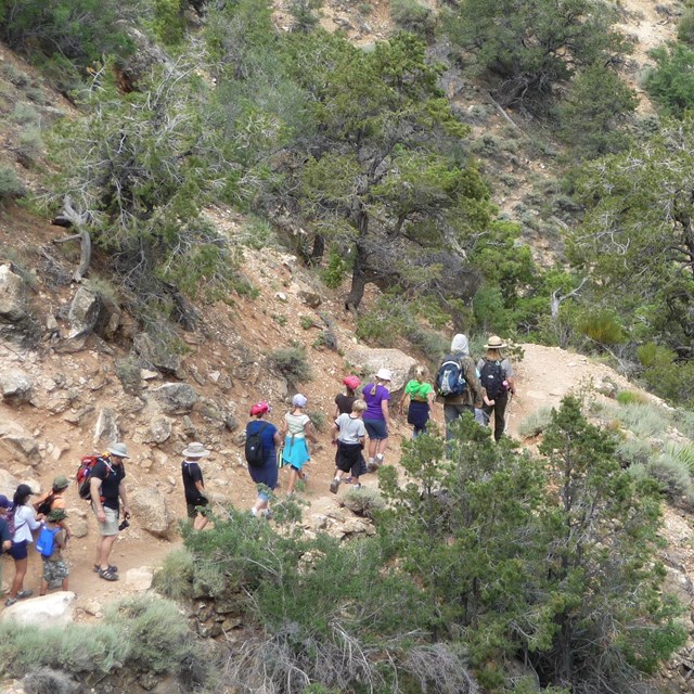 A row of hikers in bright colors follow each other down a narrow trail surrounded by vegetation.