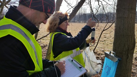 A woman prepares to weigh a bag of sap while a man records the tree number on a data sheet.