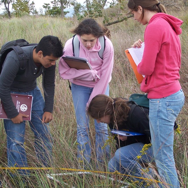 Students examine a vegetation plot and collect data.
